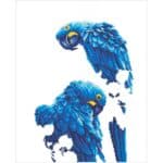 DIAMOND DOTZ BLUE PARROTS DD10.002