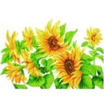 DIAMOND DOTZ HAZY DAZE SUNFLOWERS DD10.023
