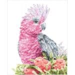 DIAMOND DOTZ - PINK GALAH BANSKIA DD10.058