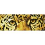 DIAMOND DOTZ LEOPARD SPY