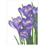 DIAMOND DOTZ - SPRING CROCUS DD5.082