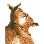 DIAMOND DOTZ KISSING KANGAS DD6.001