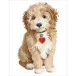 DIANOND DOTZ - LOVELY BOY DD6.007