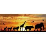 DIAMOND DOTZ AFRICAN SKY DD9.055