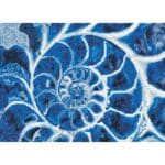 DIAMOND DOTZ BLUE NAUTILUS DD9.057