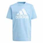 ADIDAS LK BIG LOGO CO TEE