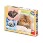 DINO PUZZLES CUTE CATS 3X55 33536