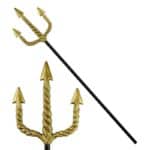 WIDMANN - PITHFORK