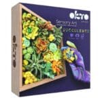 OKTO WOOD  CRAFT DIY SUCCULENTS ENERGY 512-10009