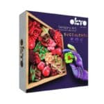 OKTO WOOD  CRAFT DIY SUCCULENTS PASSION 512-10011