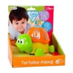PLAYGO TURTLE 2445