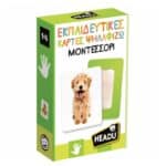 REAL FUN MONTESSORI EDUCATIONAL CARDS 55713