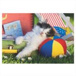 DINO PUZZLES KITTEN NAP 100XL 34354 - Image 2