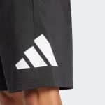 ADIDAS BIG LOGO SHORTS IS6909 - Image 3