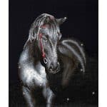 DIAMOND DOTZ MIDNIGHT STALLION