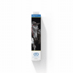 DIAMOND DOTZ MIDNIGHT STALLION - Image 2