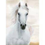 DIAMOND DOTZ - IMPERIAL STALION DD10.026