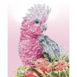 DIAMOND DOTZ - PINK GALAH BANSKIA DD10.058 - Image 3
