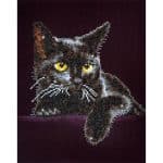 DIAMOND DOTZ MIDNIGHT CAT DD5.001 - Image 3