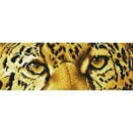 DIAMOND DOTZ LEOPARD SPY