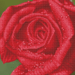 DIAMOND DOTZ ROSE DEW