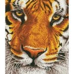 DIAMOND DOTZ - BENGAL MAGIC DD8.001