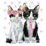 DIAMOND DOTZ MR  MRS PINK DD9.053