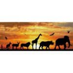 DIAMOND DOTZ AFRICAN SKY DD9.055