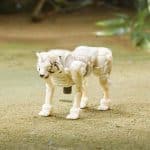 TRANSFORMERS MOVIE 7 BEAST WEAPONIZER 2 PACK F3897 - Image 8