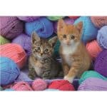 DINO PUZZLES KITTENS 300XL PIECES 47228 - Image 2