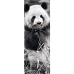 DINO PUZZLE PANDA 54544 - Image 2