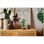 LEGO 10344 BOTANICALS - LUCKY BAMBOO - Image 3