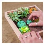 OKTO WOOD  CRAFT DIY SUCCULENTS ENERGY 512-10009 - Image 2