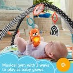 FISHER-PRICE MUSIC GLOW AND GROW GYM 3 IN 1 HBP41 - Image 3