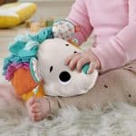 FISHER-PRICE CUDDLE N SNUGGLE HEDGEHOG HBP42 - Image 4