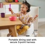 FISHER-PRICE SIMPLE CLEAN  COMFORT BOOSTER SEAT HRG13 - Image 5