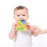 PLAYGO SEASIDE CRAB SHAKER 1549 - Image 3