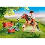 PLAYMOBIL 70516 COUNTRY - COLLECTIBLE CONNEMARA PONY - Image 2
