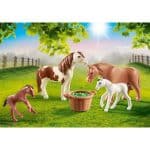 PLAYMOBIL 70682 COUNTRY - Ponies with Foals - Image 2