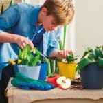 REAL FUN MINI GREENHOUSE 100231 - Image 3