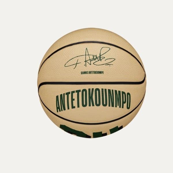 WILSON NBA PLAYER ICON MINI BASKETBALL GIANNIS WZ4007501XB3