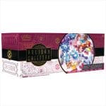 POKEMON HOLIDAY CALENDAR 2025 POK100321