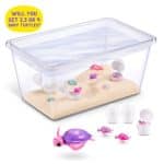 ZURU PETS ALIVE MAMA AND BABY TURTLES 9560 - Image 3