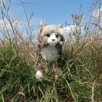RAPPA PLUSH NORWEGIAN CAT LYING DOWN 38CM RA-220843 - Image 4