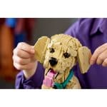 LEGO 11384  ICONS - GOLDEN RETRIEVER PUPPY - Image 4