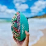 WABOBA TROPICAL WATER FOOTBALL 185C06 - Image 3