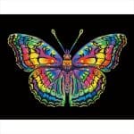 DIAMOND DOTZ - NEON BUTTERFLY DD25020