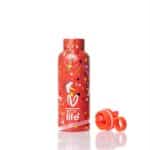 ECOLIFE VASILIKI THERMO 500ML SPITHA 08G-002758 - Image 2